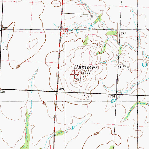 Topographic Map of Hammer Hill, MO