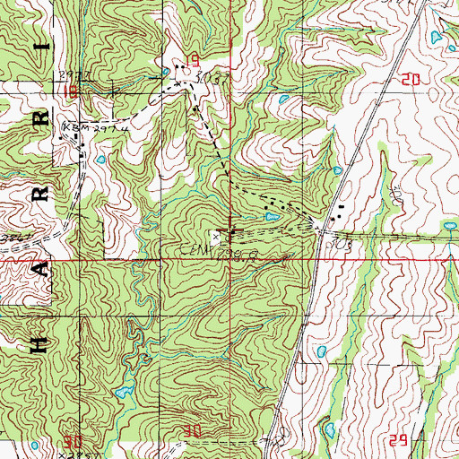 Topographic Map of Hanes Church, MO