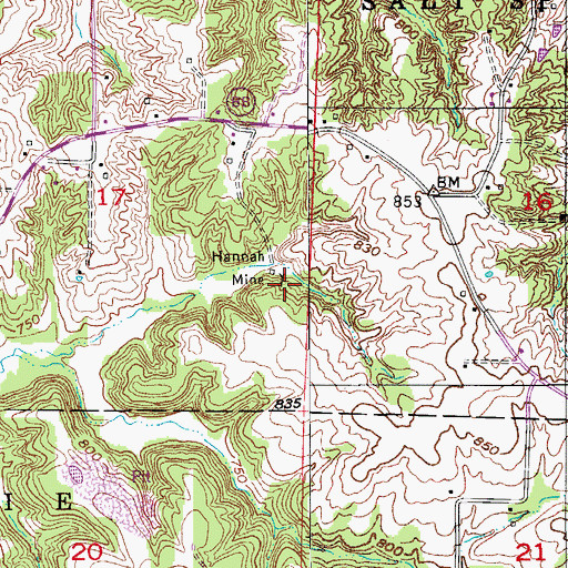 Topographic Map of Hannah Mine, MO