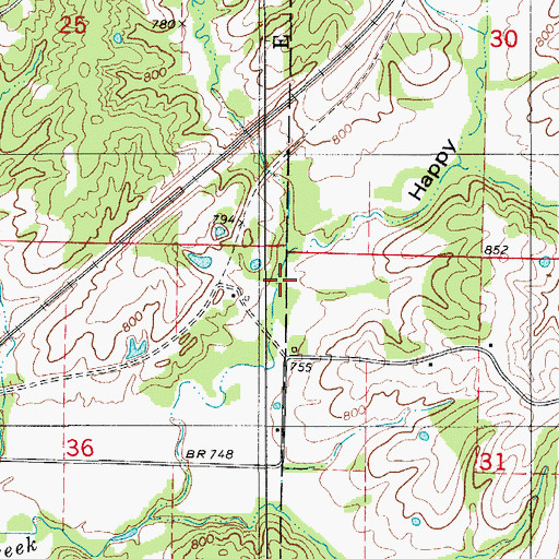 Topographic Map of Happy Hollow, MO