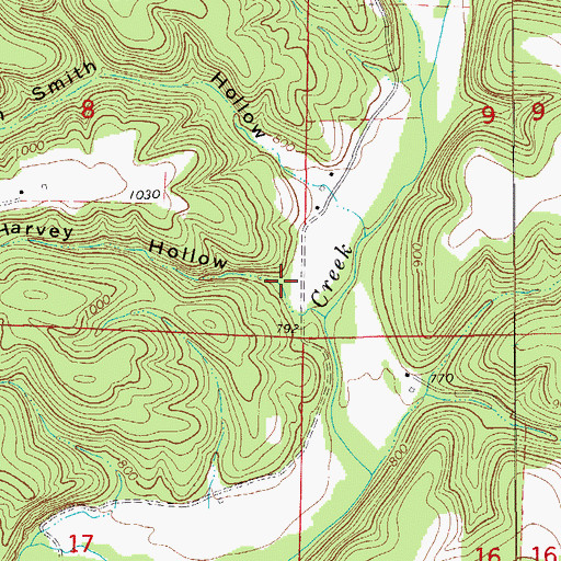 Topographic Map of Harvey Hollow, MO