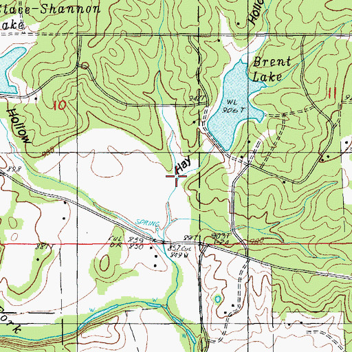 Topographic Map of Hay Hollow, MO