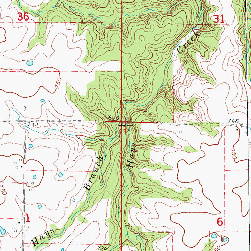 Topographic Map of Hays Branch, MO