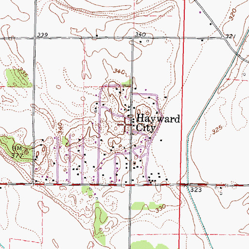 Topographic Map of Haywood City, MO