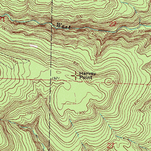 Topographic Map of Harvey Point, AR