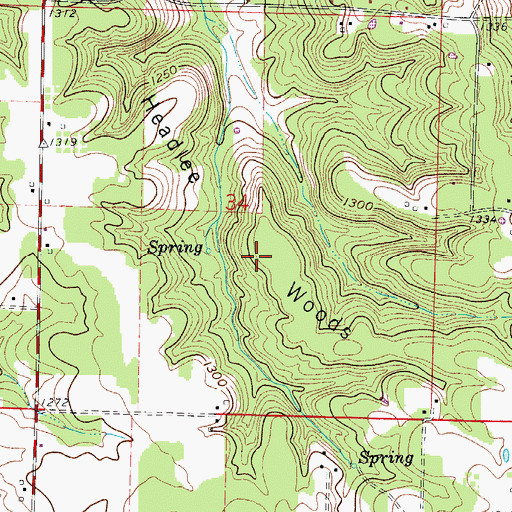 Topographic Map of Headlee Woods, MO