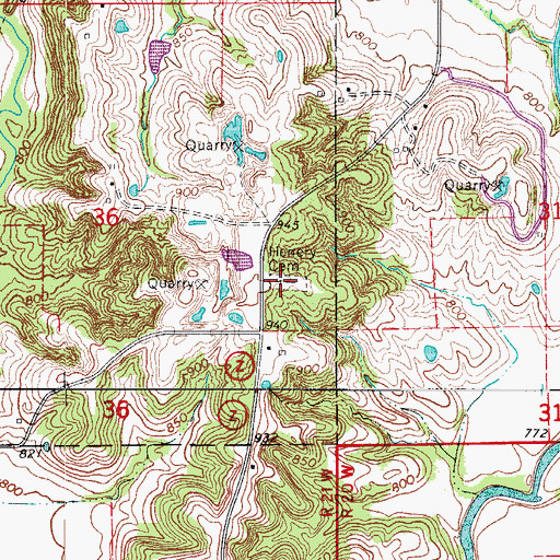 Topographic Map of Henry Cemetery, MO