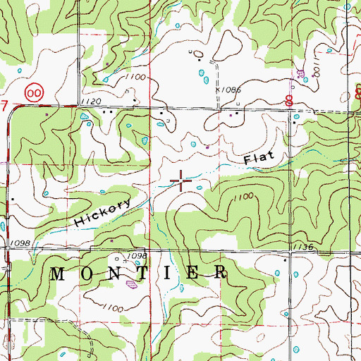Topographic Map of Hickory Flat, MO