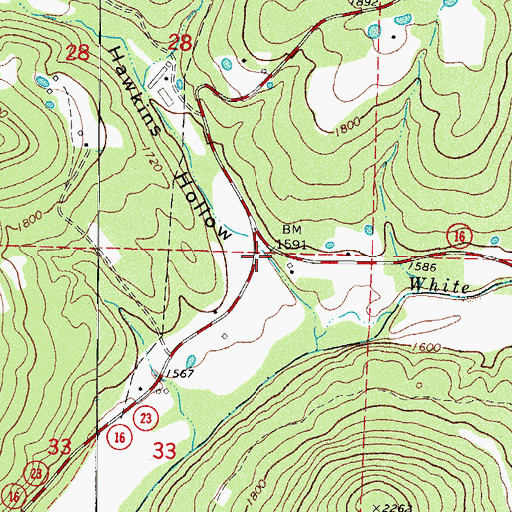 Topographic Map of Hawkins Hollow, AR