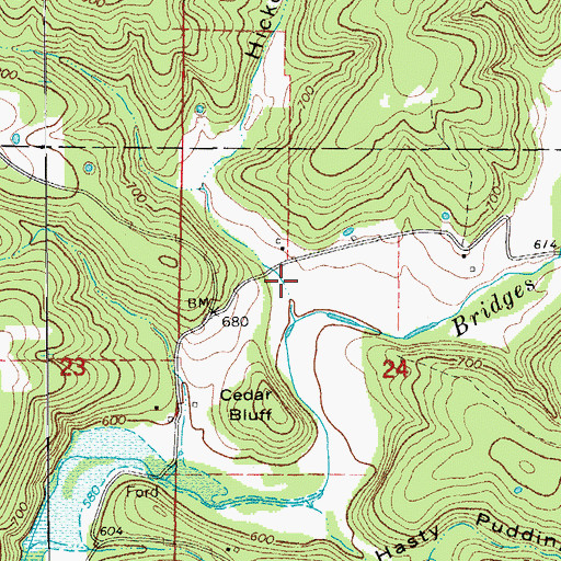 Topographic Map of Hickory Stump Hollow, MO