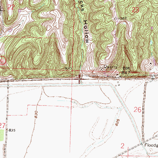 Topographic Map of Hicks Hollow, MO