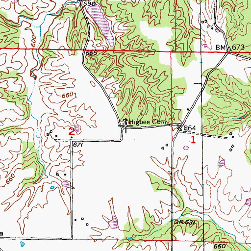 Topographic Map of Higbee Cemetery, MO