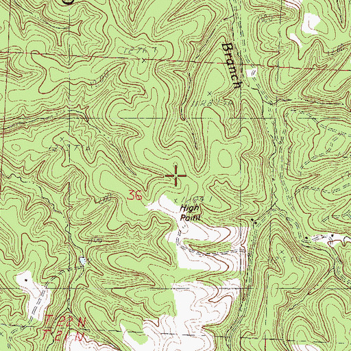 Topographic Map of High Point, MO