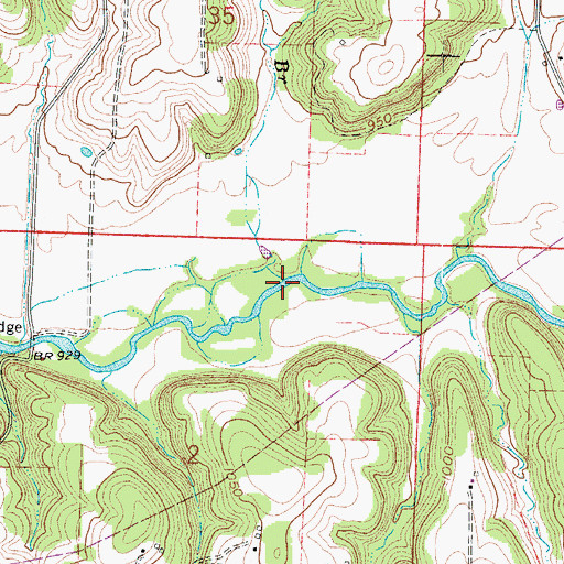 Topographic Map of Hinkle Branch, MO