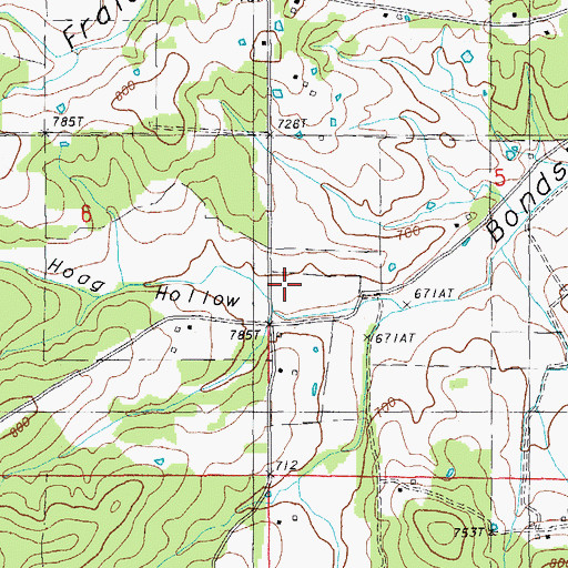Topographic Map of Hoag Hollow, MO