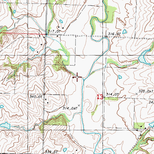 Topographic Map of Hog Branch, MO
