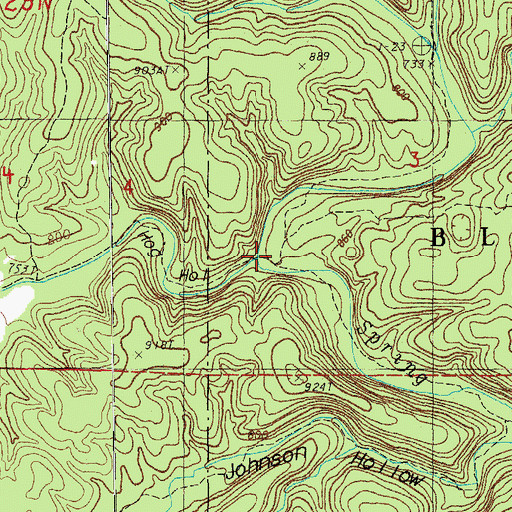 Topographic Map of Hog Hollow, MO