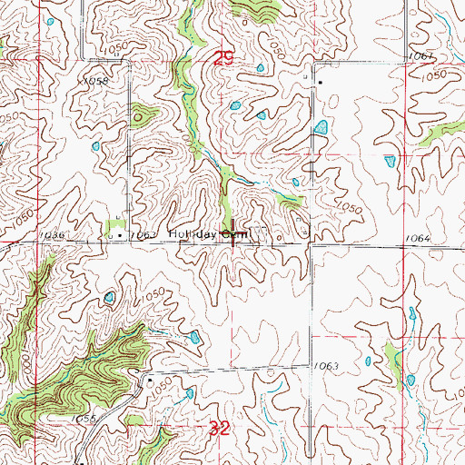Topographic Map of Holiday Cemetery, MO