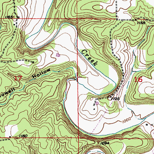 Topographic Map of Hollowell Hollow, MO