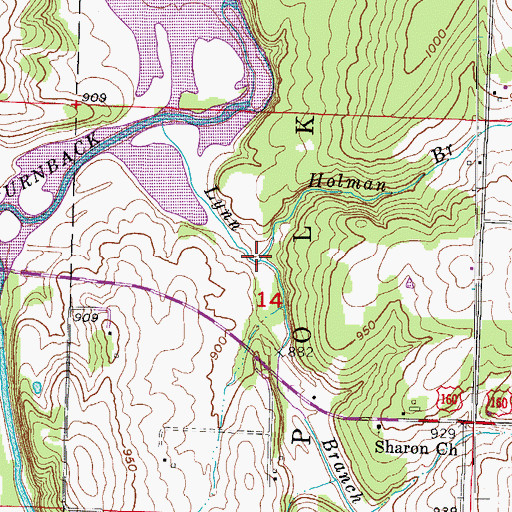 Topographic Map of Holman Branch, MO