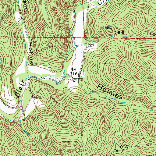 Topographic Map of Holmes Hollow, MO