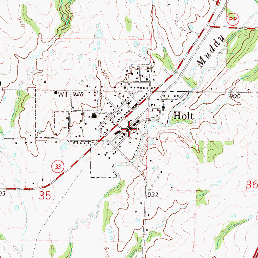Topographic Map of Holt, MO
