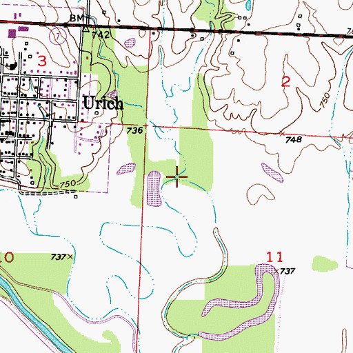 Topographic Map of Holwell Branch, MO