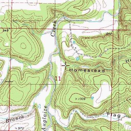 Topographic Map of Homestead Hollow, MO