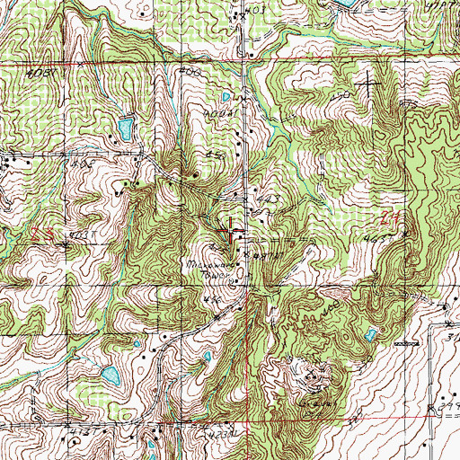 Topographic Map of Hopkins Chapel, MO