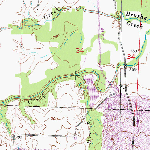 Topographic Map of Horn Branch, MO