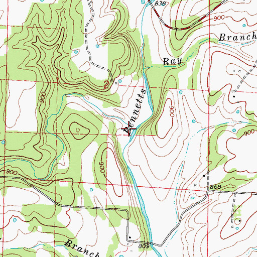 Topographic Map of Horn Creek, MO
