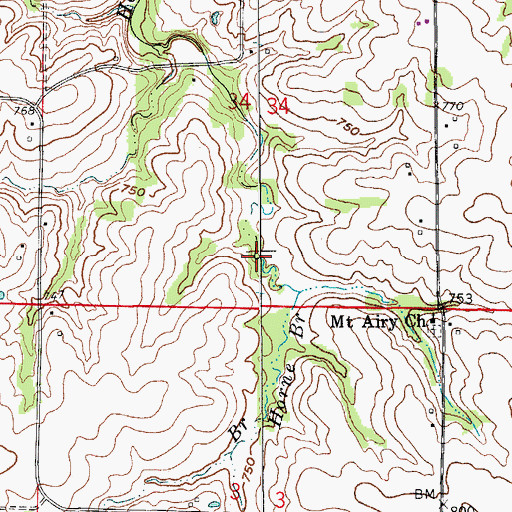 Topographic Map of Horne Branch, MO