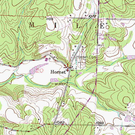 Topographic Map of Hornet, MO