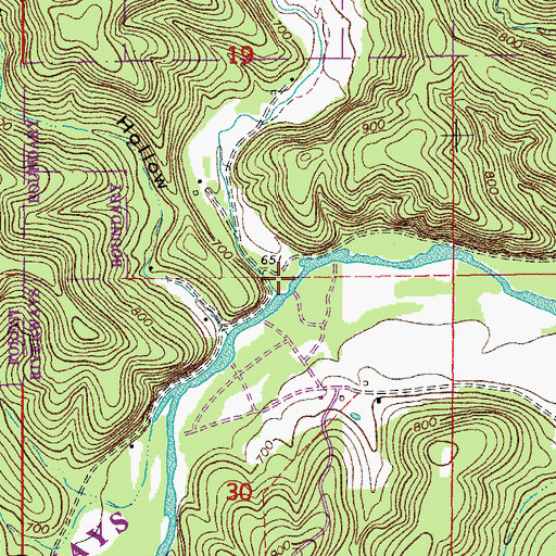 Topographic Map of Horse Hollow, MO