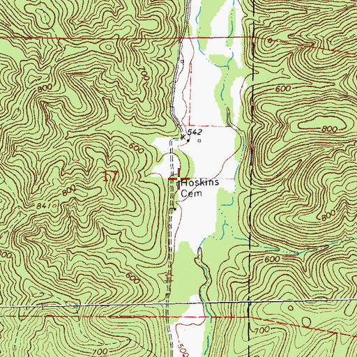 Topographic Map of Hoskins Cemetery, MO