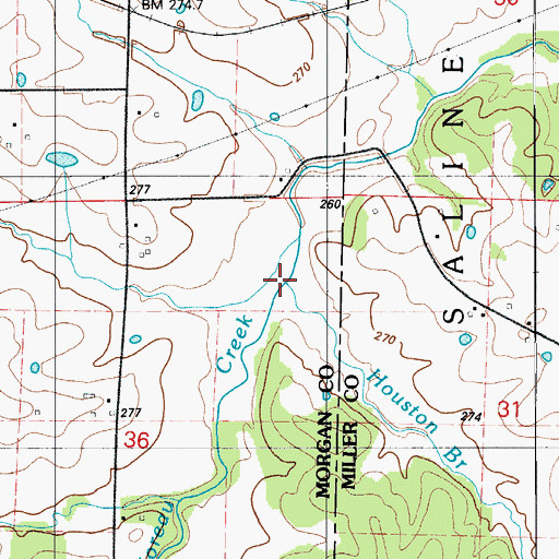 Topographic Map of Houston Branch, MO