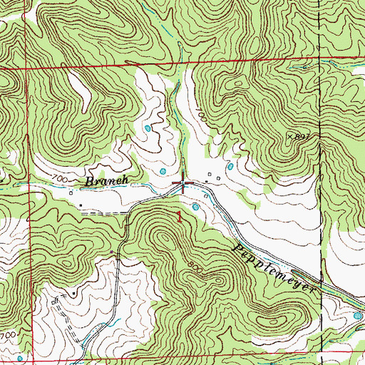 Topographic Map of Howard Branch, MO