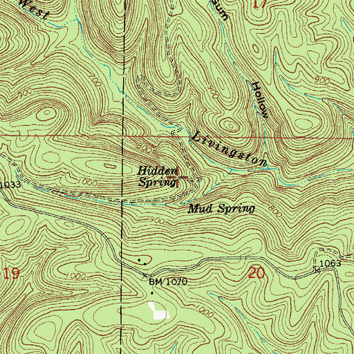 Topographic Map of Hidden Spring, AR