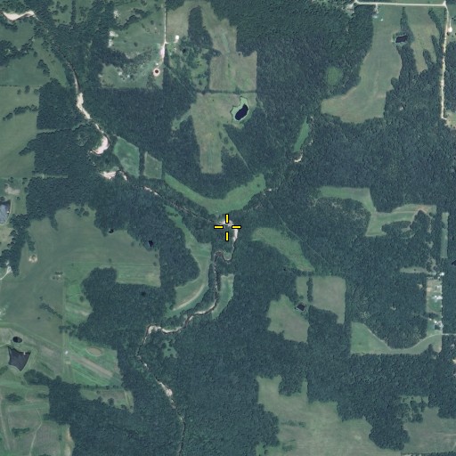 Aerial/Satellite Image of Hunt Branch, MO