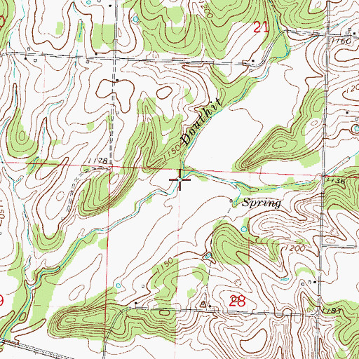Topographic Map of Hutchison Branch, MO
