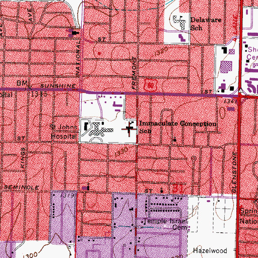 Topographic Map of Immaculate Conception School, MO