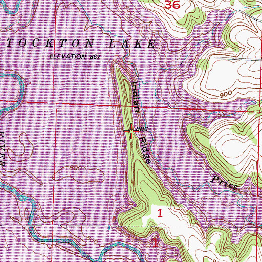 Topographic Map of Indian Ridge, MO