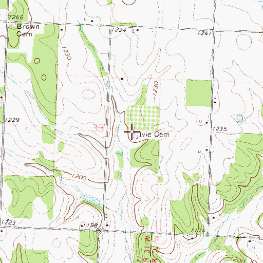 Topographic Map of Ivie Cemetery, MO