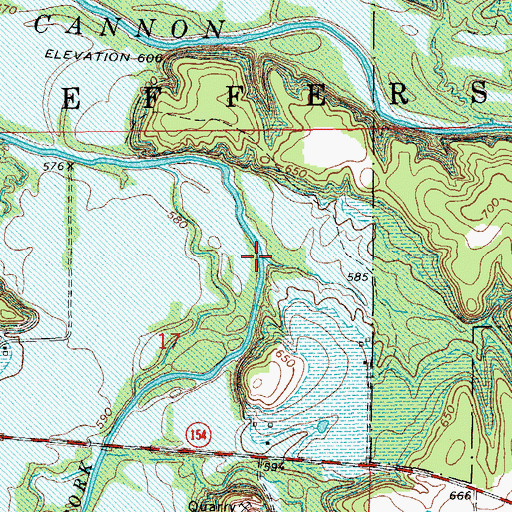 Topographic Map of Ivy Branch, MO