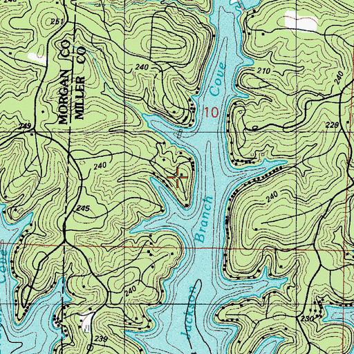 Topographic Map of Jackson Branch Cove, MO