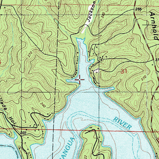 Topographic Map of Jackson Hollow, MO