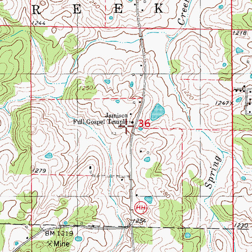 Topographic Map of Jamison School, MO