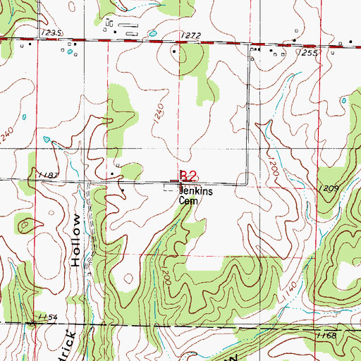 Topographic Map of Jenkins Cemetery, MO