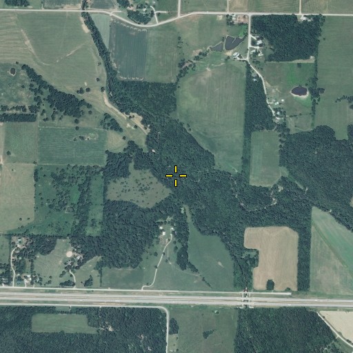 Aerial/Satellite Image of Jenkins Creek, MO