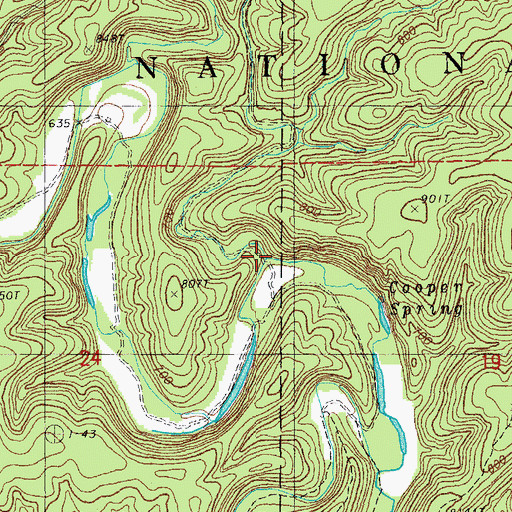 Topographic Map of Jenny Hollow, MO